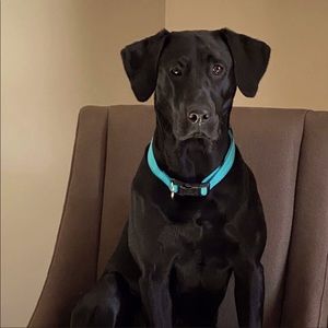 Meet your Posher, Heidi